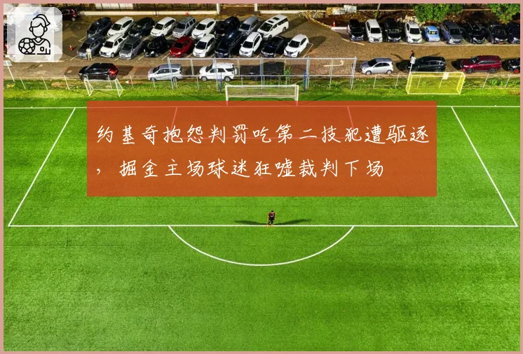 约基奇抱怨判罚吃第二技犯遭驱逐，掘金主场球迷狂嘘裁判下场