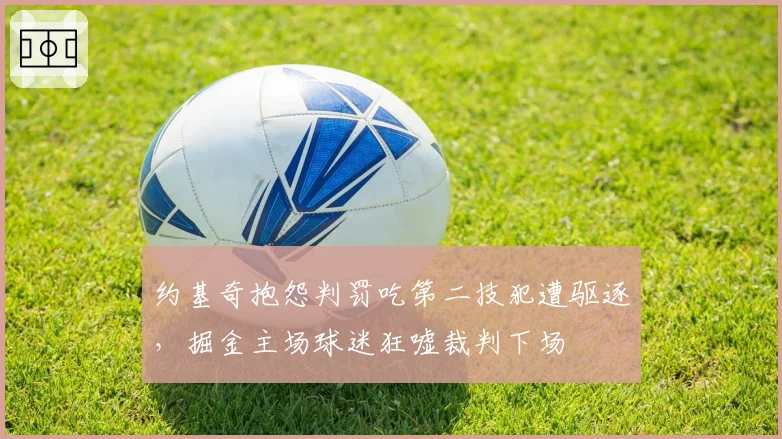 约基奇抱怨判罚吃第二技犯遭驱逐,掘金主场球迷狂嘘裁判下场