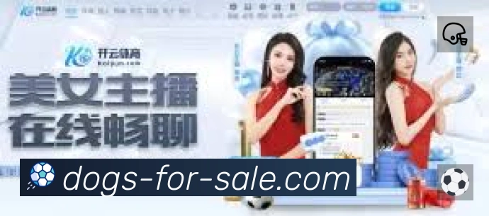 三亿·体育发展历程