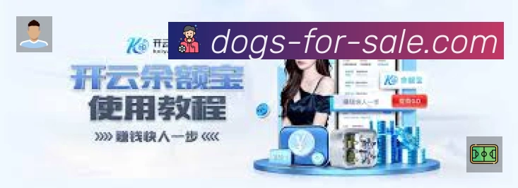 体育赛事直播