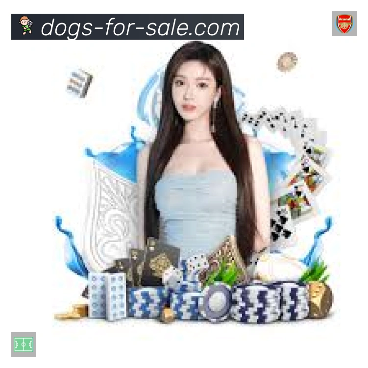 高清赛事解说