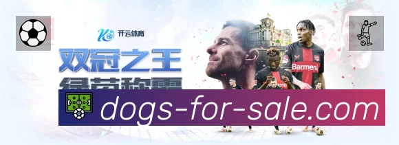 奖项证书