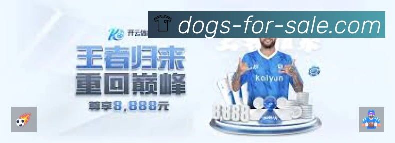 奖项证书