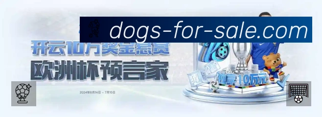 快速开看体验展示