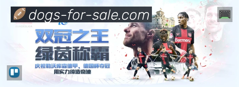 直达链接 - 一键进入赛况与直播